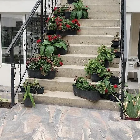Casa Narcisa-3