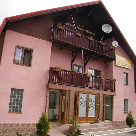 Pensiunea Bujor de Munte-3