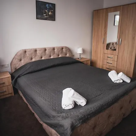 Petrosani Camere de Inchiriat - Hotel Petroshani srl-2