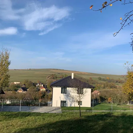 Viktoria House-3