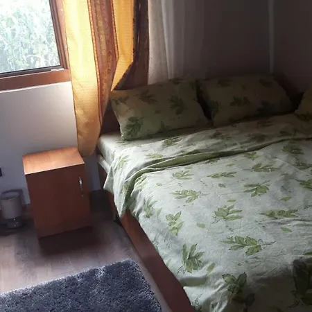 Pensiunea Tarina-2
