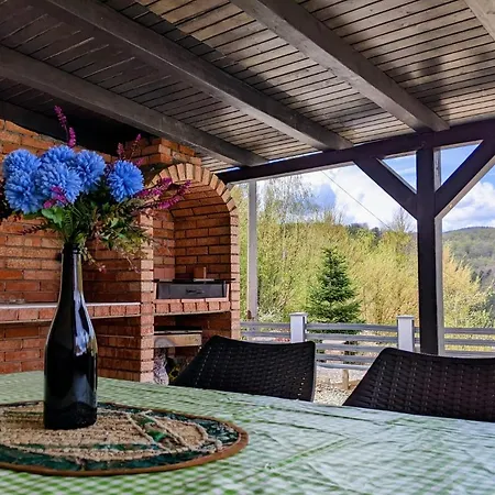 Hill House Valiug Crivaia-2