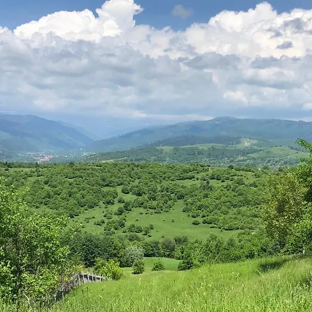 Pensiunea Crețișoara-3