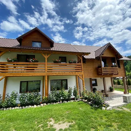 Pensiunea Casa Pancu-3