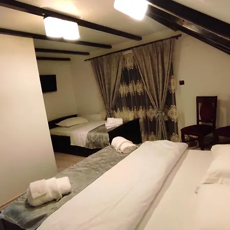 Pensiunea Casa Andreea - Bârsana Maramureș-2