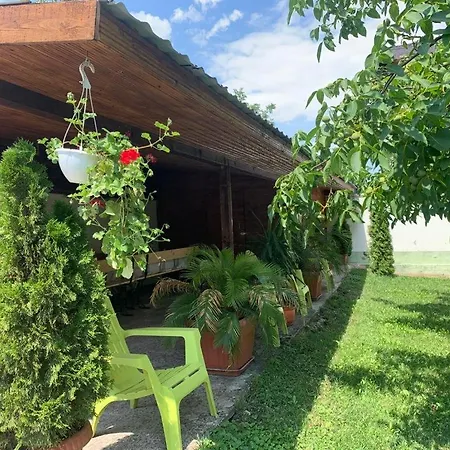 Pensiunea Panorama Arad-3