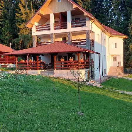 Pensiunea Mădălina-3