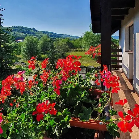 Vila Flora în Gura Humorului-3