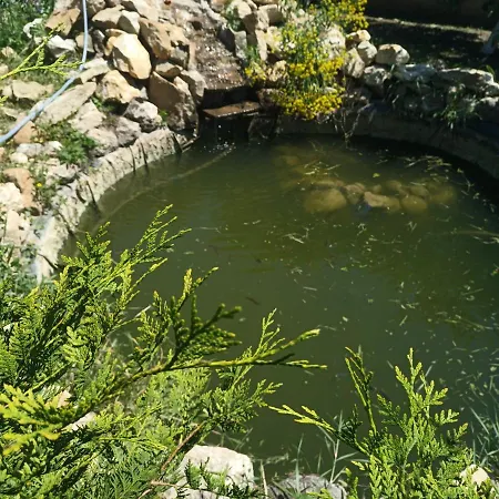 Casa Berbec-2