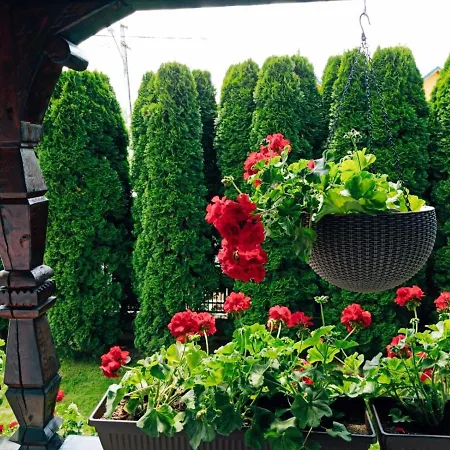 Pensiunea Casa Andreea - Bârsana Maramureș-3