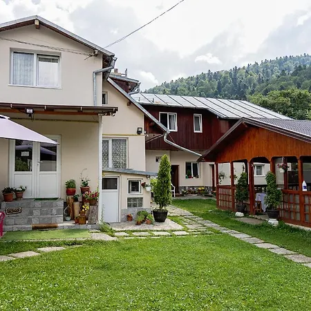 Pensiunea Montan Busteni-3
