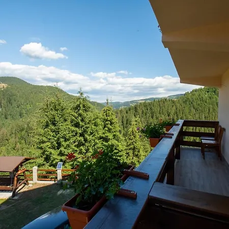 Cabana Denisa-3