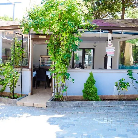 Vila Casa Leul-2