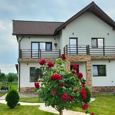 Pensiunea Casa Nușa-3