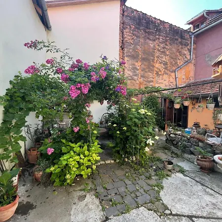 Casa Morar-3