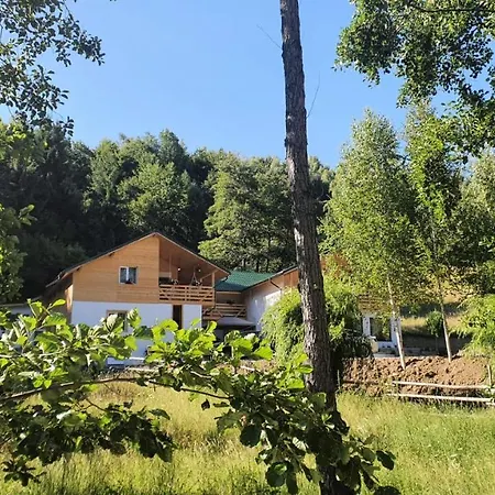 Agropensiunea Nemira-3