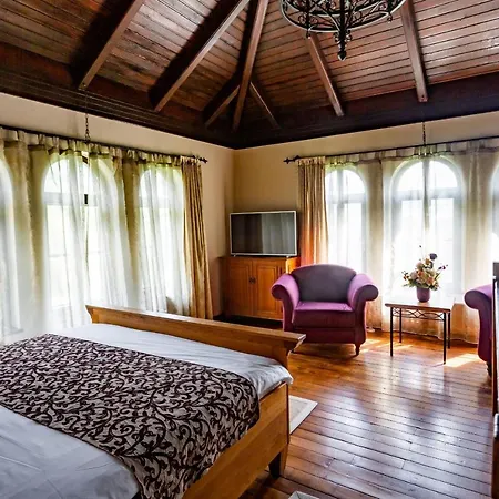 Hotel Turnul-2