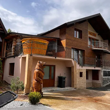 Vila Deluț-2