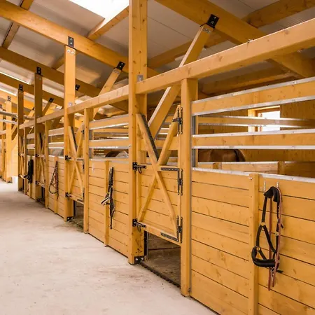 Astoria Horse Center-2