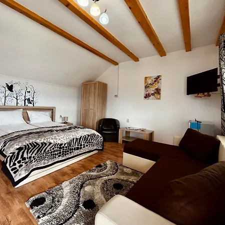 Vila Sofia-2