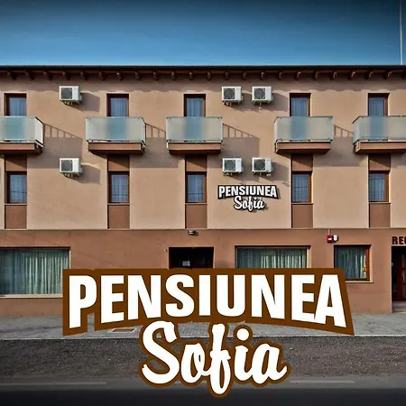 Pensiunea Sofia-2