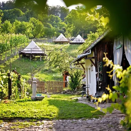 Saschiz 130/Lodging And Glamping-2