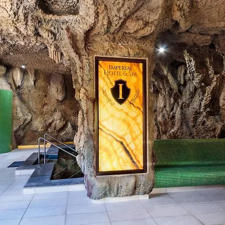 Imperial Hotel&Spa - Baile Olanesti-3