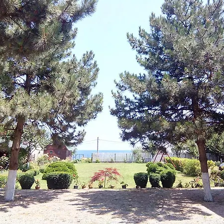Pensiunea Sapte Pini-3
