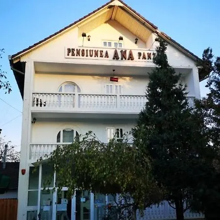 Pensiunea Ana-2