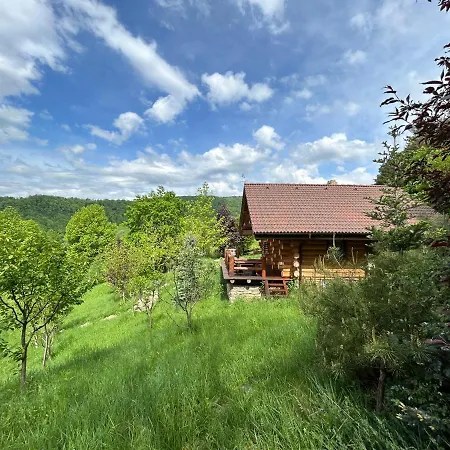Căsuța din pădure-3