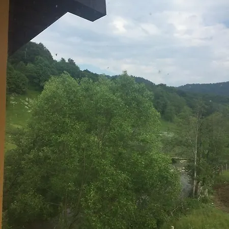 Pensiunea Silvian-2