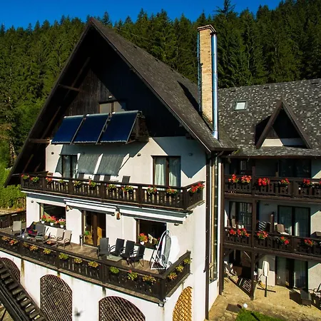 Bucovina Lodge Pension-2