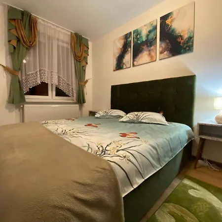 Apartament Dinu Toplita-2