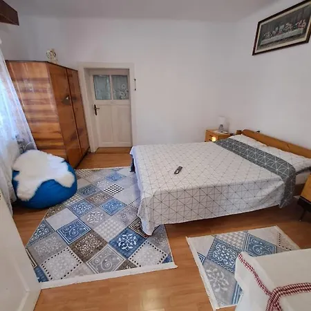 Comaniciu Sorin-2
