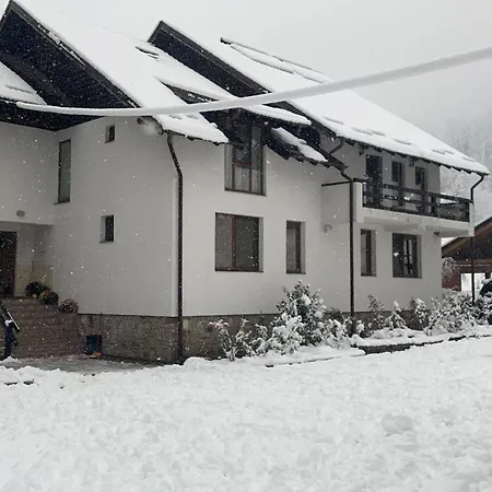 Casa Voronet-2