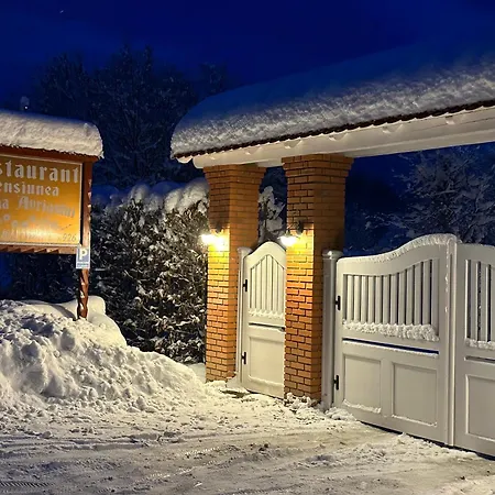 Pensiunea Poiana Avrigului-2