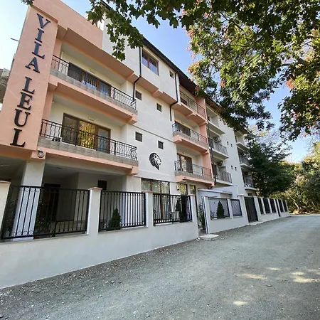Vila Leul-3