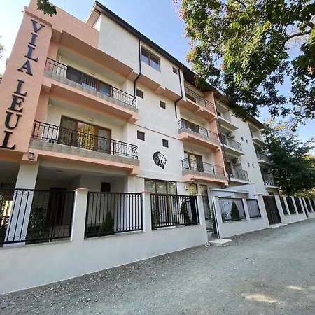 Vila Leul-2