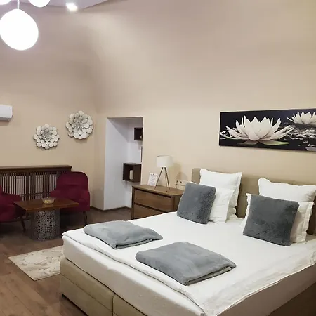 IMPERIAL ROOMS - ULTRACENTRAL - jacuzzi cu hidromasaj-3