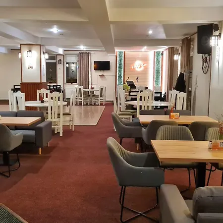 Pensiunea Happy Inn-2