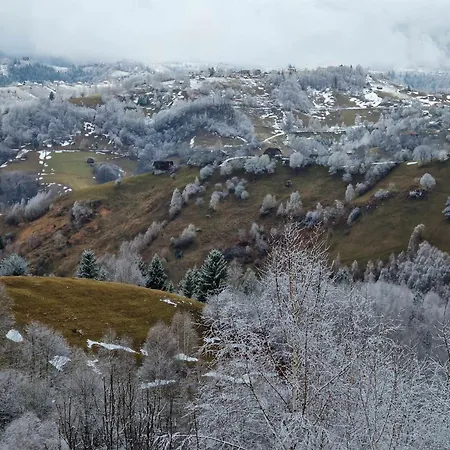 Alpine Escape Studios-3