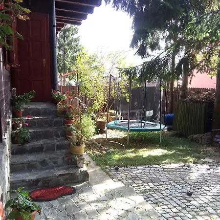 Family House-3