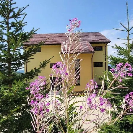 Pension Valea Mariei-2