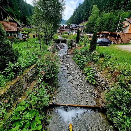 Căbănuța Cocoțată-3