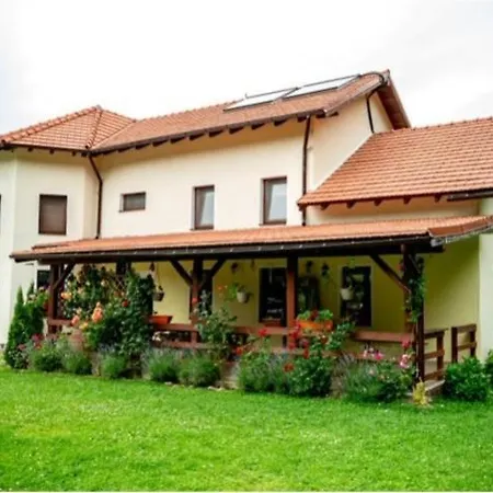 Pensiunea Rozelor Sâmbăta de Sus-3