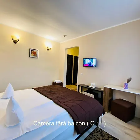 Pensiunea Camena-3