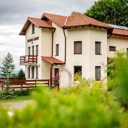 Pensiunea Rozelor Sâmbăta de Sus-2