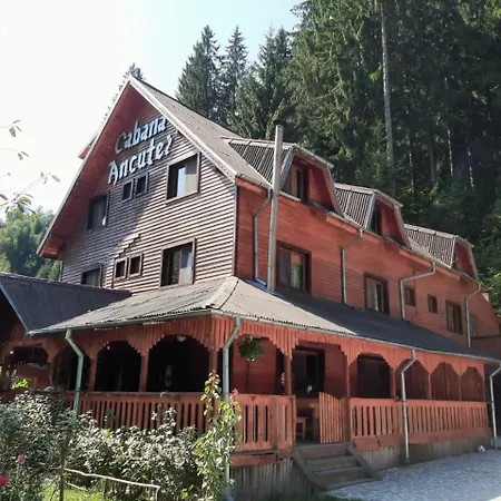 Cabana Ancutei-3