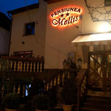 Pension Mellis Cluj Napoca-3
