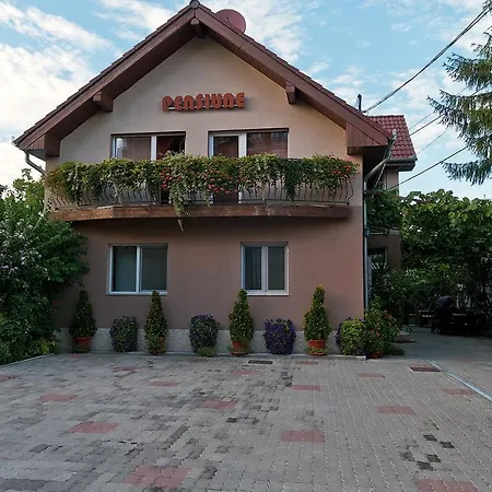 Pensiunea Miorita Arad-3